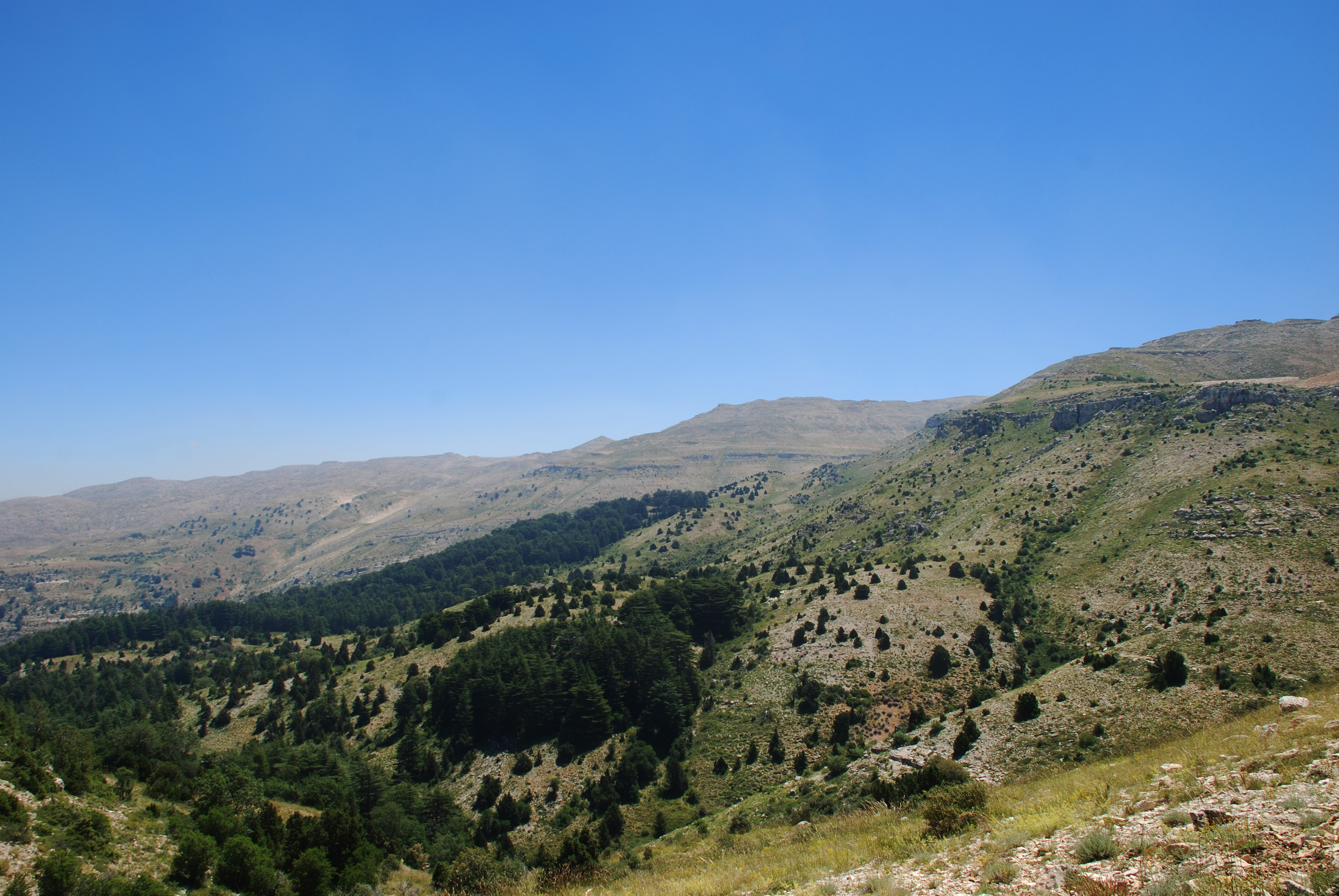 Horsh Ehden Nature Reserve @Magda Bou Dagher Kharrat